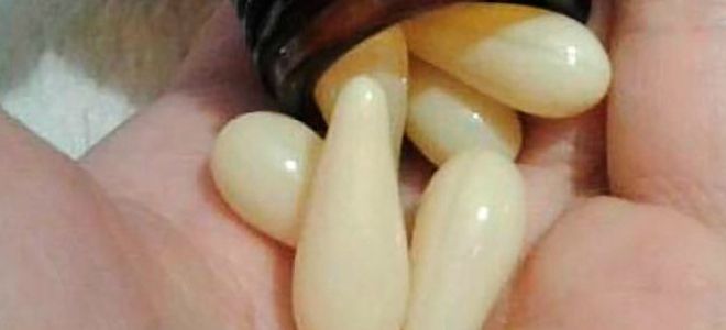 гемостатические свечи от геморроя гемостатические свечи от геморроя