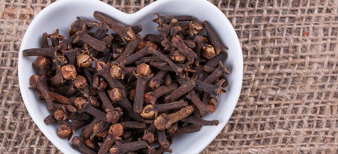 гвоздика полезные и лечебные свойства для мужчин гвоздика полезные и лечебные свойства для мужчин