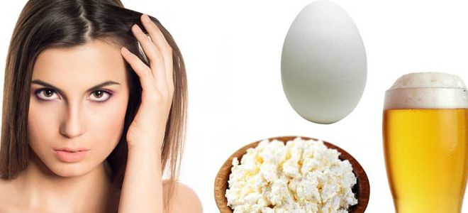 как использовать пиво для волос как использовать пиво для волос