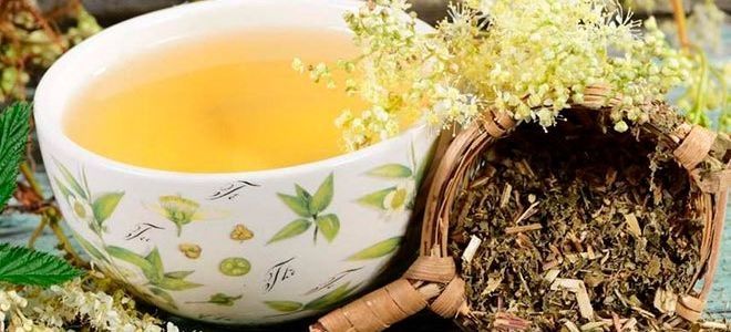 лабазник лечебные свойства и противопоказания лабазник лечебные свойства и противопоказания