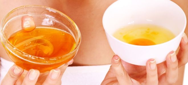 Маска для волос с яйцом и медом Маска для волос с яйцом и медом