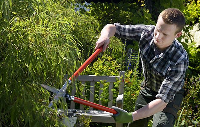 механический кусторез механический кусторез