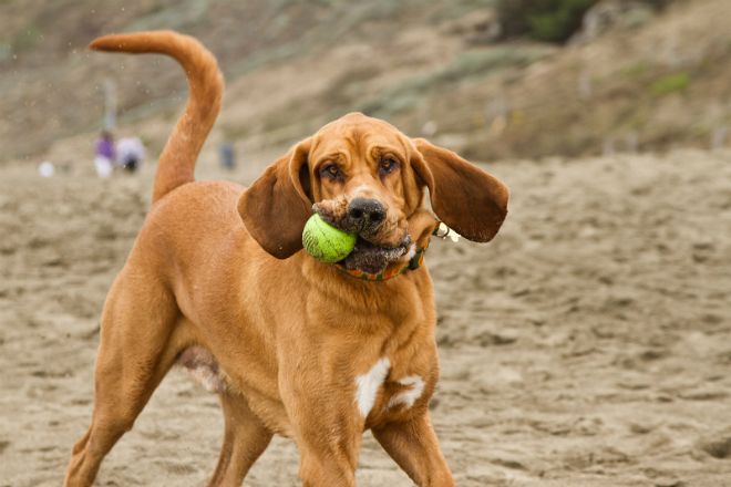 плюсы и минусы плюсы и минусы