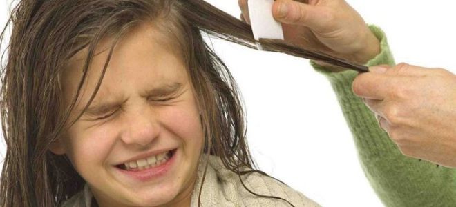 шампунь от вшей для ребенка шампунь от вшей для ребенка