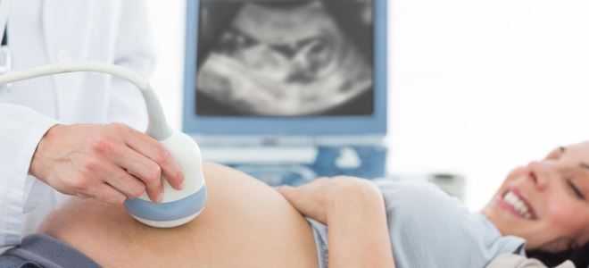 скрининг при беременности скрининг при беременности