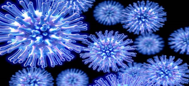 возбудители гриппа и ОРВИ возбудители гриппа и ОРВИ