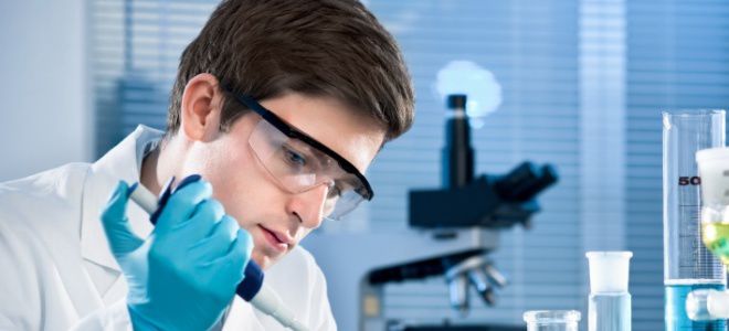 диагностика цитомегаловируса диагностика цитомегаловируса