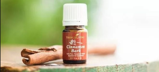 эффективное эфирное масло от целлюлита эффективное эфирное масло от целлюлита