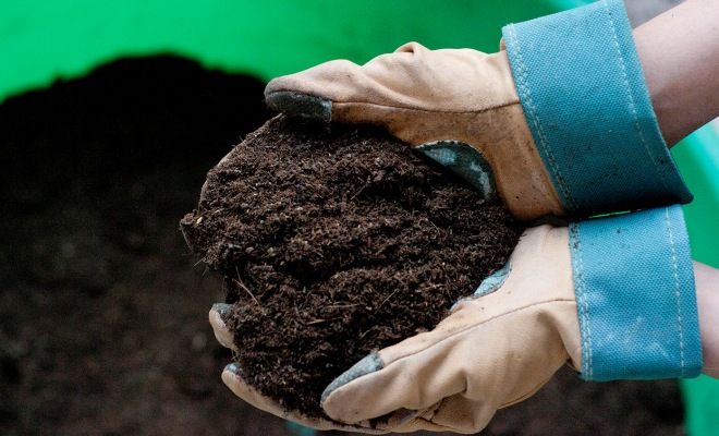 грунт для посева огурцов грунт для посева огурцов