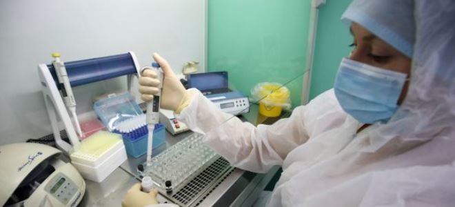 как сдают ифа на коронавирус как сдают ифа на коронавирус