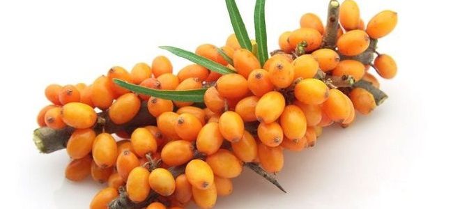 Как снизить лейкоциты в моче Как снизить лейкоциты в моче