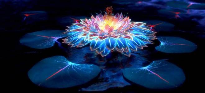 медитация безусловная любовь медитация безусловная любовь