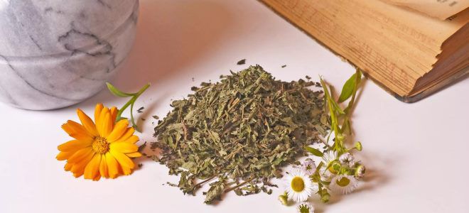 народные средства от ячменя на глазу народные средства от ячменя на глазу