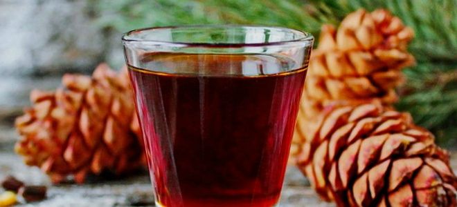 настойка на кедровых орешках на водке рецепт настойка на кедровых орешках на водке рецепт