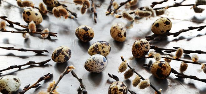 приметы на любовь в вербное воскресенье приметы на любовь в вербное воскресенье