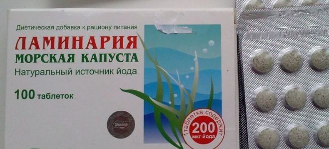 ламинария для похудения ламинария для похудения