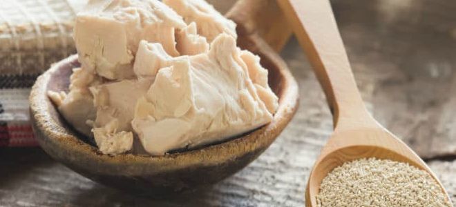 маска из дрожжей для проблемной кожи маска из дрожжей для проблемной кожи