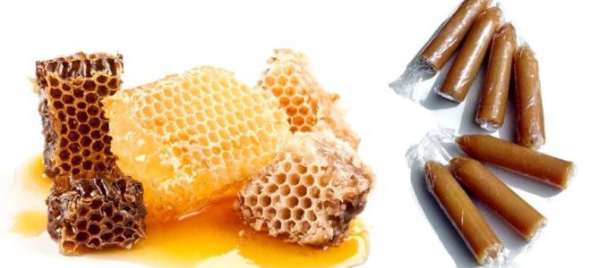 мед при геморрое мед при геморрое