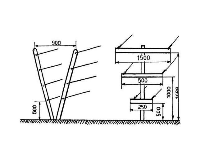 размеры шпалеры для малины размеры шпалеры для малины