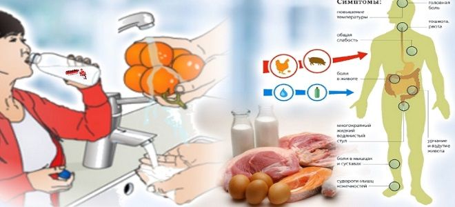 свойства сальмонеллы свойства сальмонеллы