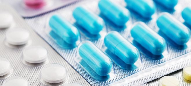 таблетки от аллергии на кошек таблетки от аллергии на кошек