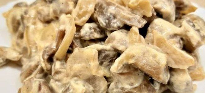 жареные грибы с луком и сметаной жареные грибы с луком и сметаной