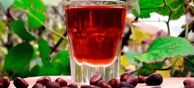 настойка кедровых орехов при мастопатии настойка кедровых орехов при мастопатии