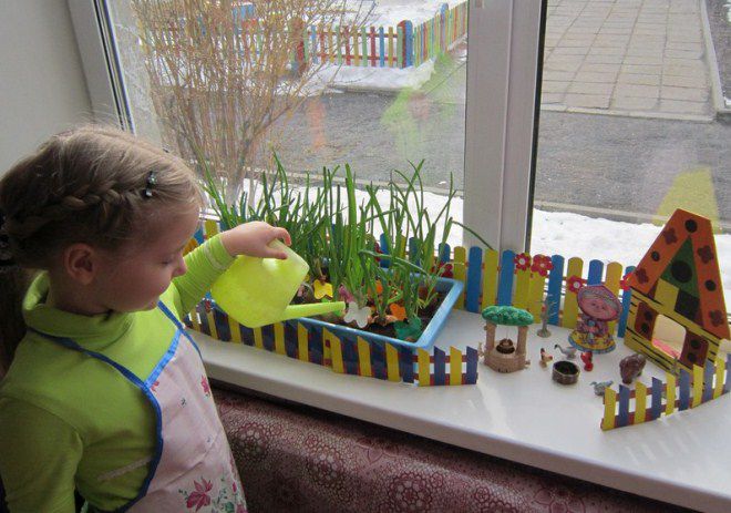 полив лука на подоконнике полив лука на подоконнике