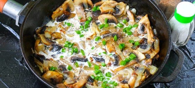 шампиньоны на сковороде с луком и сливками шампиньоны на сковороде с луком и сливками