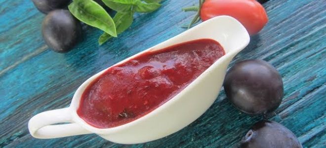 сливовый соус к мясу сливовый соус к мясу