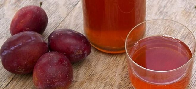 как сделать вино из сливы как сделать вино из сливы