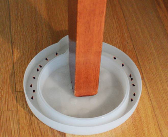 ловушки для постельных клопов ловушки для постельных клопов