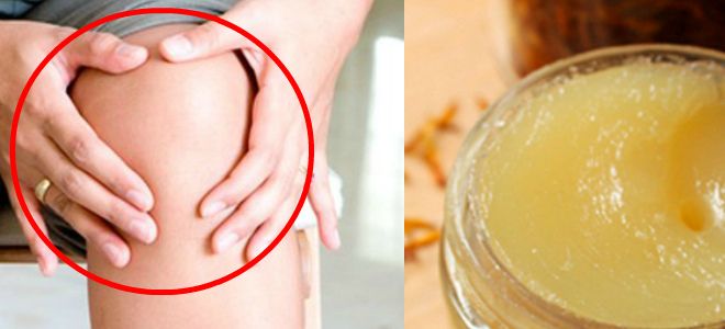 масло гхи для суставов масло гхи для суставов