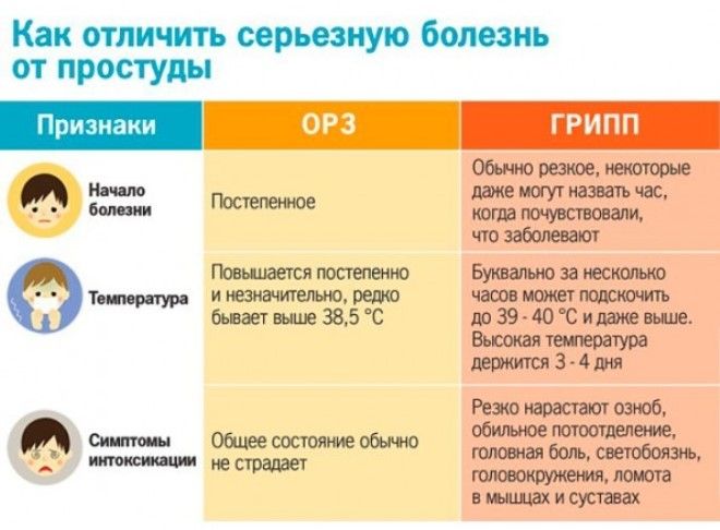 отличие гриппа от орви отличие гриппа от орви
