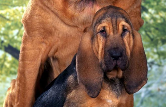 плюсы и минусы плюсы и минусы