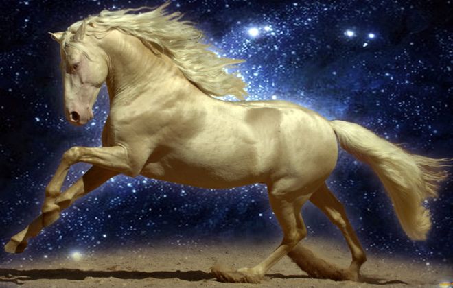 прогноз на год крысы для лошади прогноз на год крысы для лошади