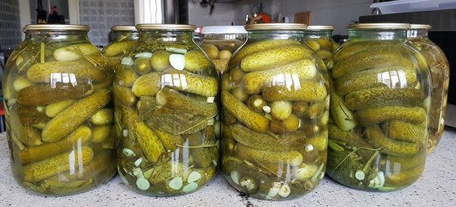 фото7 консервация огурцов с водкой на зиму