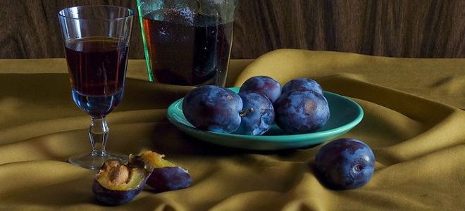 сливовая наливка в домашних условиях сливовая наливка в домашних условиях