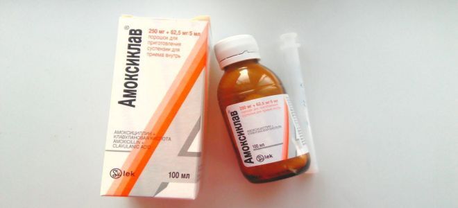 Суспензия Амоксициллин аналоги амоксиклав Суспензия Амоксициллин аналоги амоксиклав