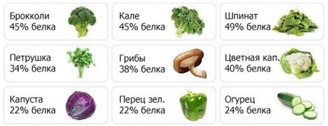 белок в крупах белок в крупах