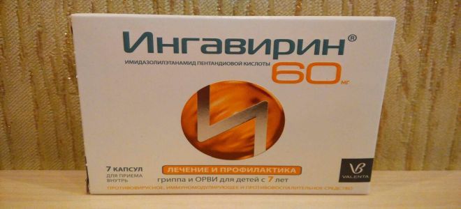 Ингарон или Ингавирин что лучше Ингарон или Ингавирин что лучше