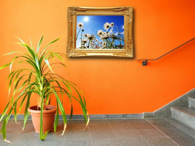 Цвет прихожей по фен шуй Цвет прихожей по фен шуй