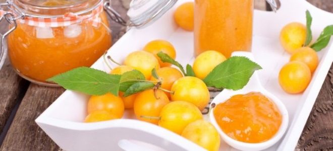 джем из желтой сливы джем из желтой сливы