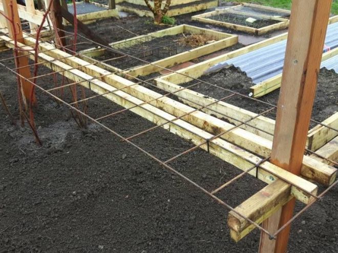 шпалера для малины из арматуры шпалера для малины из арматуры