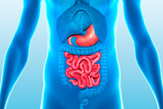 Нарушения в ЖКТ Нарушения в работе ЖКТ