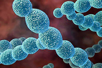 Стрептококковая инфекция Длительность лечения хронического тонзиллита