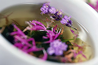 Отвар из шалфея Отвар из шалфея