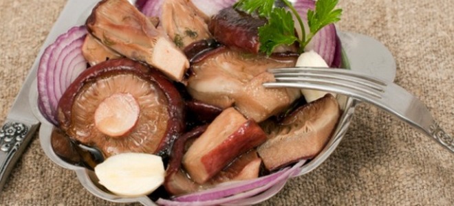 Как солить горькушки