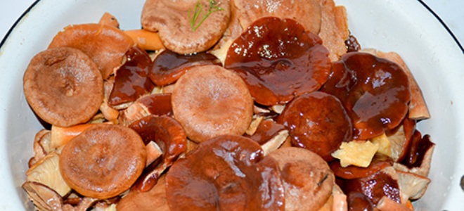 Как солить горькушки