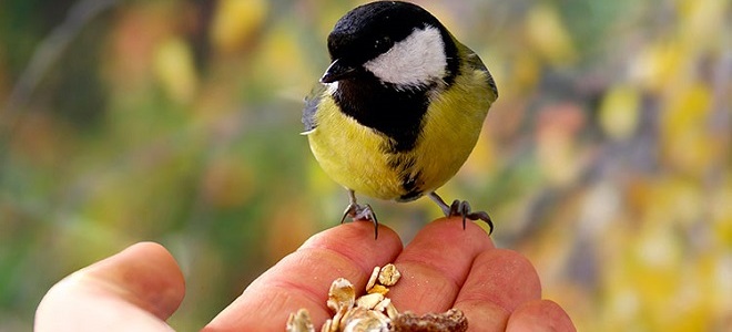 как стать добрым человеком